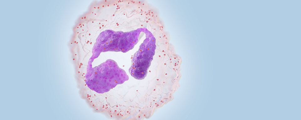 Neutrophil activation