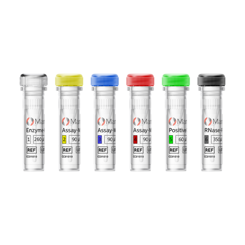 [Sysmex WCA (english)] MammaTyper Vials 